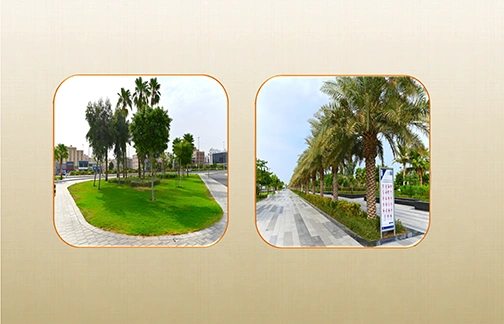 حديقة الأمير ماجد 3